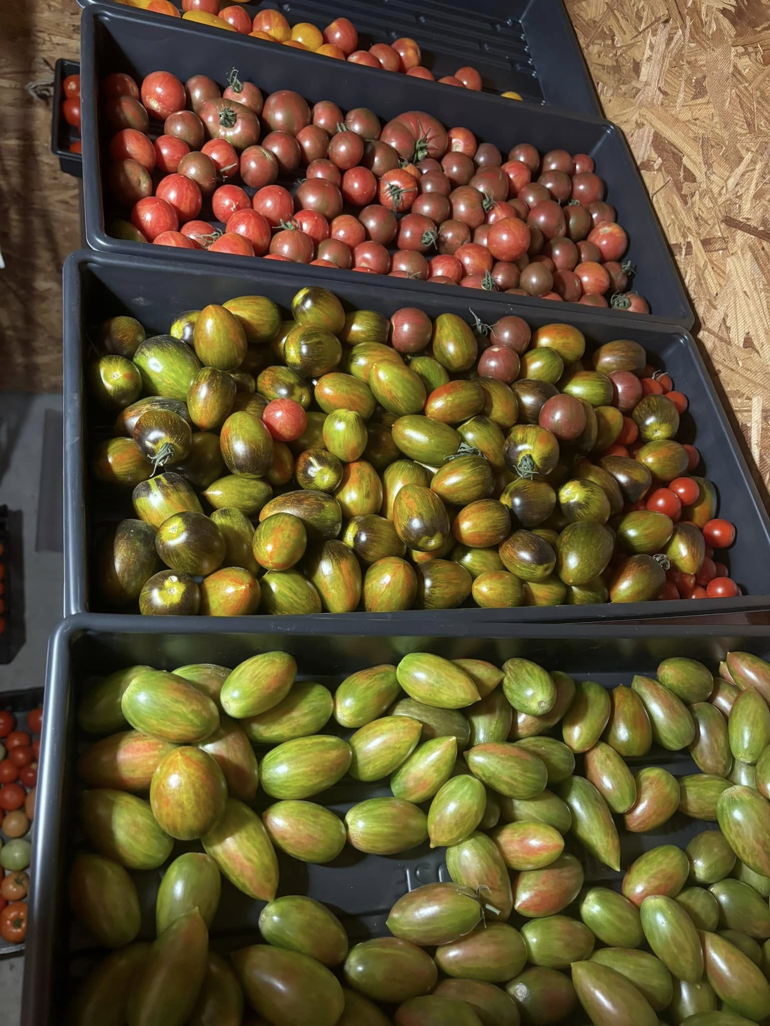 Teck Farms providing accessible healthy eating